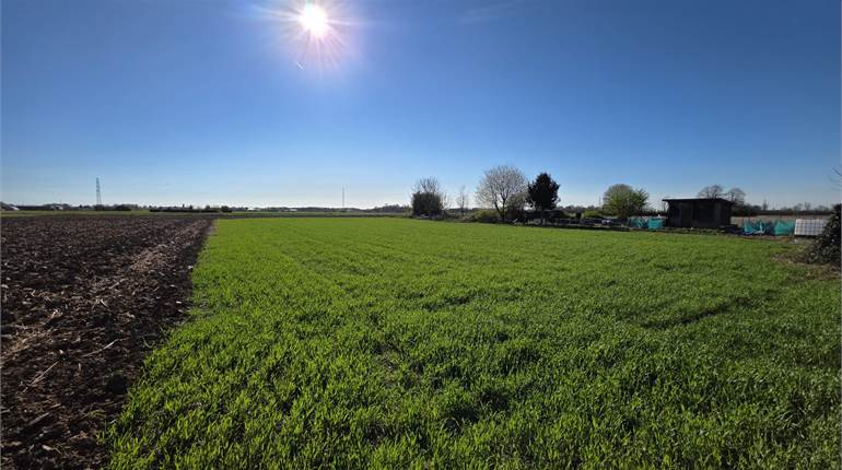 Terreno agricolo soleggiato con bosco privato a Fenegrò